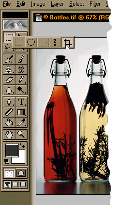 crop-select.jpg (57370 bytes)