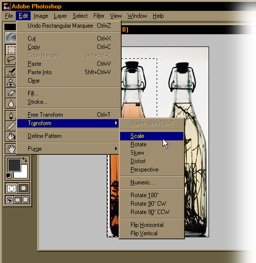 transform.jpg (84391 bytes)