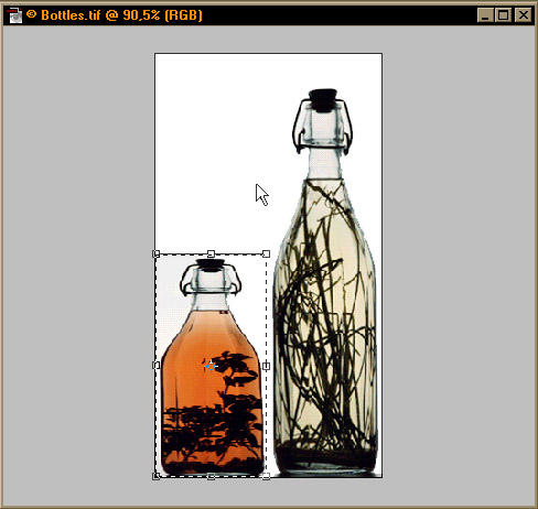 transformed.jpg (53942 bytes)